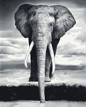 Charger l&#39;image dans la galerie, peinture par numéros | Eléphant gris | animaux, facile, éléphants | FiguredArt
