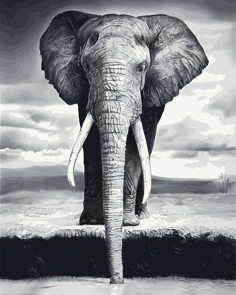 peinture par numéros | Eléphant gris | animaux, facile, éléphants | FiguredArt