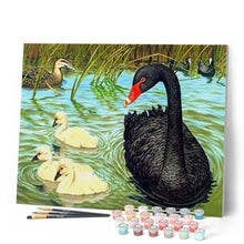 Charger l'image dans la galerie, peinture par numéros | Cygne noir | animaux, intermédiaire | FiguredArt