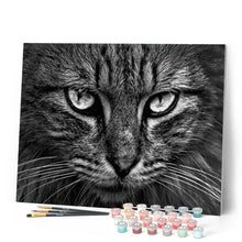 Charger l'image dans la galerie, peinture par numéros | Tête de Chat | animaux, chats, complexe | FiguredArt