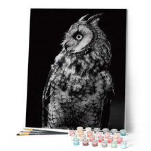 Charger l'image dans la galerie, peinture par numéros | Chouette en noir et blanc | animaux, chouettes et hiboux, complexe | FiguredArt