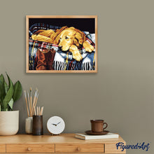 Charger l'image dans la galerie, peinture par numéros | Chien paresseux | animaux, chiens, facile | FiguredArt