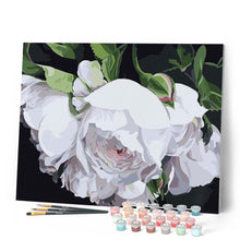 Charger l'image dans la galerie, peinture par numéros | Coeur de Roses blanches | facile, fleurs | FiguredArt