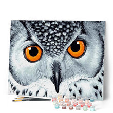 Charger l'image dans la galerie, peinture par numéros | Yeux de Hibou Oranges | animaux, chouettes et hiboux, intermédiaire | FiguredArt