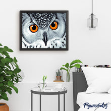 Charger l'image dans la galerie, peinture par numéros | Yeux de Hibou Oranges | animaux, chouettes et hiboux, intermédiaire | FiguredArt