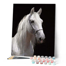 Charger l'image dans la galerie, peinture par numéros | Cheval blanc paisible | animaux, chevaux, complexe | FiguredArt