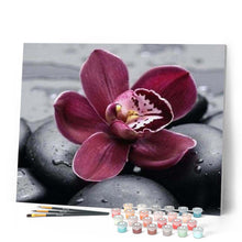 Charger l'image dans la galerie, peinture par numéros | Orchidée et Pierre | fleurs, intermédiaire | FiguredArt