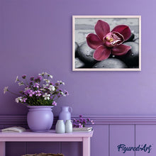 Charger l'image dans la galerie, peinture par numéros | Orchidée et Pierre | fleurs, intermédiaire | FiguredArt