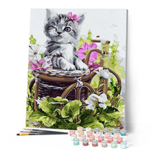 Charger l'image dans la galerie, Chaton gris mignon