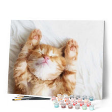 Charger l'image dans la galerie, peinture par numéros | Chaton endormi | animaux, chats, intermédiaire | FiguredArt