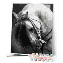 Charger l'image dans la galerie, peinture par numéros | Cheval Tête baissée | animaux, chevaux, intermédiaire | FiguredArt