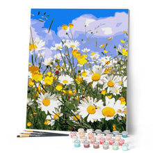Charger l'image dans la galerie, peinture par numéros | Champs de Marguerites et Ciel bleu | fleurs paysages nouveautés complexe | FiguredArt