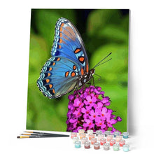 Charger l'image dans la galerie, peinture par numéros | Joli Papillon posé sur une Fleur | animaux, fleurs, intermédiaire, papillons | FiguredArt