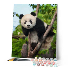 Charger l'image dans la galerie, peinture par numéros | Panda perché | animaux, arbres, intermédiaire, pandas | FiguredArt