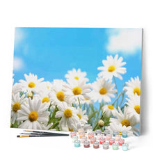 Charger l'image dans la galerie, peinture par numéros | Marguerites | facile, fleurs | FiguredArt