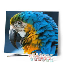 Charger l'image dans la galerie, peinture par numéros | Ara bleu et jaune | animaux, intermédiaire, oiseaux | FiguredArt