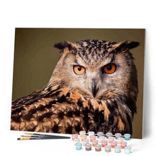 Charger l'image dans la galerie, peinture par numéros | Regard de Hibou | animaux, chouettes et hiboux, intermédiaire | FiguredArt