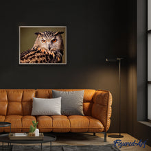 Charger l'image dans la galerie, peinture par numéros | Regard de Hibou | animaux, chouettes et hiboux, intermédiaire | FiguredArt
