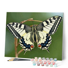 Charger l'image dans la galerie, peinture par numéros | Ailes de Papillon | animaux, intermédiaire, papillons | FiguredArt