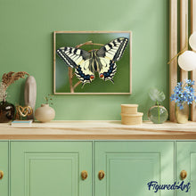 Charger l'image dans la galerie, peinture par numéros | Ailes de Papillon | animaux, intermédiaire, papillons | FiguredArt