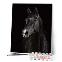 Charger l'image dans la galerie, peinture par numéros | Cheval en noir et Blanc | animaux, chevaux, facile | FiguredArt