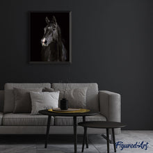 Charger l'image dans la galerie, peinture par numéros | Cheval en noir et Blanc | animaux, chevaux, facile | FiguredArt