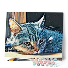 Charger l'image dans la galerie, peinture par numéros | Chat american Shorthair | animaux, chats, facile | FiguredArt