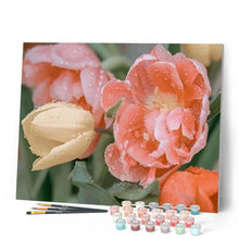 Charger l'image dans la galerie, peinture par numéros | Tulipes et Rosée | fleurs, intermédiaire | FiguredArt