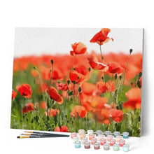 Charger l'image dans la galerie, peinture par numéros | Pavots | complexe, fleurs, paysages | FiguredArt