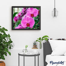 Charger l'image dans la galerie, peinture par numéros | Phalaenopsis roses | complexe, fleurs | FiguredArt