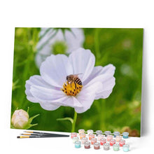 Charger l'image dans la galerie, peinture par numéros | Abeille butinant une Fleur | fleurs, intermédiaire | FiguredArt