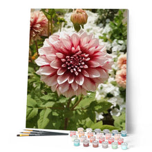 Charger l'image dans la galerie, peinture par numéros | Dahlia | complexe, fleurs | FiguredArt