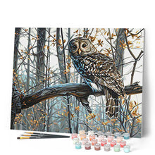 Charger l'image dans la galerie, peinture par numéros | Belle Chouette en forêt | animaux, chouettes et hiboux, Complexe, forêt | FiguredArt