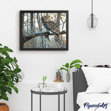 Charger l'image dans la galerie, peinture par numéros | Belle Chouette en forêt | animaux, chouettes et hiboux, Complexe, forêt | FiguredArt