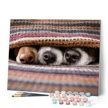 Charger l'image dans la galerie, peinture par numéros | Vous voyez des chiens ? | animaux, chiens, Intermédiaire | FiguredArt
