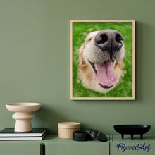 Charger l'image dans la galerie, peinture par numéros | Gueule de Chien | animaux, chiens, Intermédiaire | FiguredArt