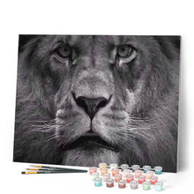 Charger l'image dans la galerie, peinture par numéros | Regard de Fauve | animaux, Complexe, lions | FiguredArt