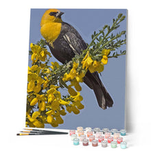Charger l'image dans la galerie, peinture par numéros | Oiseau à tête jaune sur branche | animaux, Facile, oiseaux | FiguredArt