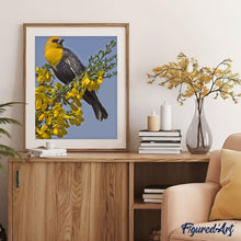Charger l'image dans la galerie, peinture par numéros | Oiseau à tête jaune sur branche | animaux, Facile, oiseaux | FiguredArt