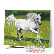 Charger l'image dans la galerie, peinture par numéros | Cheval Blanc | animaux, chevaux, facile | FiguredArt