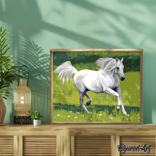 Charger l'image dans la galerie, peinture par numéros | Cheval Blanc | animaux, chevaux, facile | FiguredArt