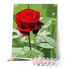 Charger l'image dans la galerie, peinture par numéros | Rose rouge et Rosée | facile, fleurs | FiguredArt