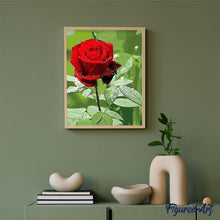 Charger l'image dans la galerie, peinture par numéros | Rose rouge et Rosée | facile, fleurs | FiguredArt