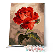 Charger l'image dans la galerie, peinture par numéros | Belle rose rouge | facile, fleurs, nouveautés | FiguredArt
