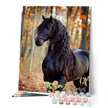 Charger l'image dans la galerie, peinture par numéros | Cheval noir gracieux | animaux, chevaux, intermédiaire, nouveautés | FiguredArt