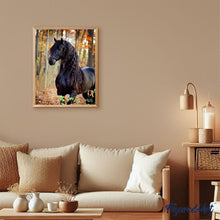Charger l'image dans la galerie, peinture par numéros | Cheval noir gracieux | animaux, chevaux, intermédiaire, nouveautés | FiguredArt