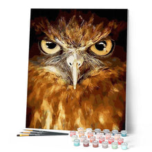 Charger l'image dans la galerie, peinture par numéros | Yeux perçants de Faucon | animaux, chouettes et hiboux, intermédiaire, oiseaux | FiguredArt