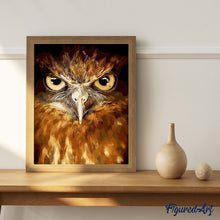 Charger l'image dans la galerie, peinture par numéros | Yeux perçants de Faucon | animaux, chouettes et hiboux, intermédiaire, oiseaux | FiguredArt