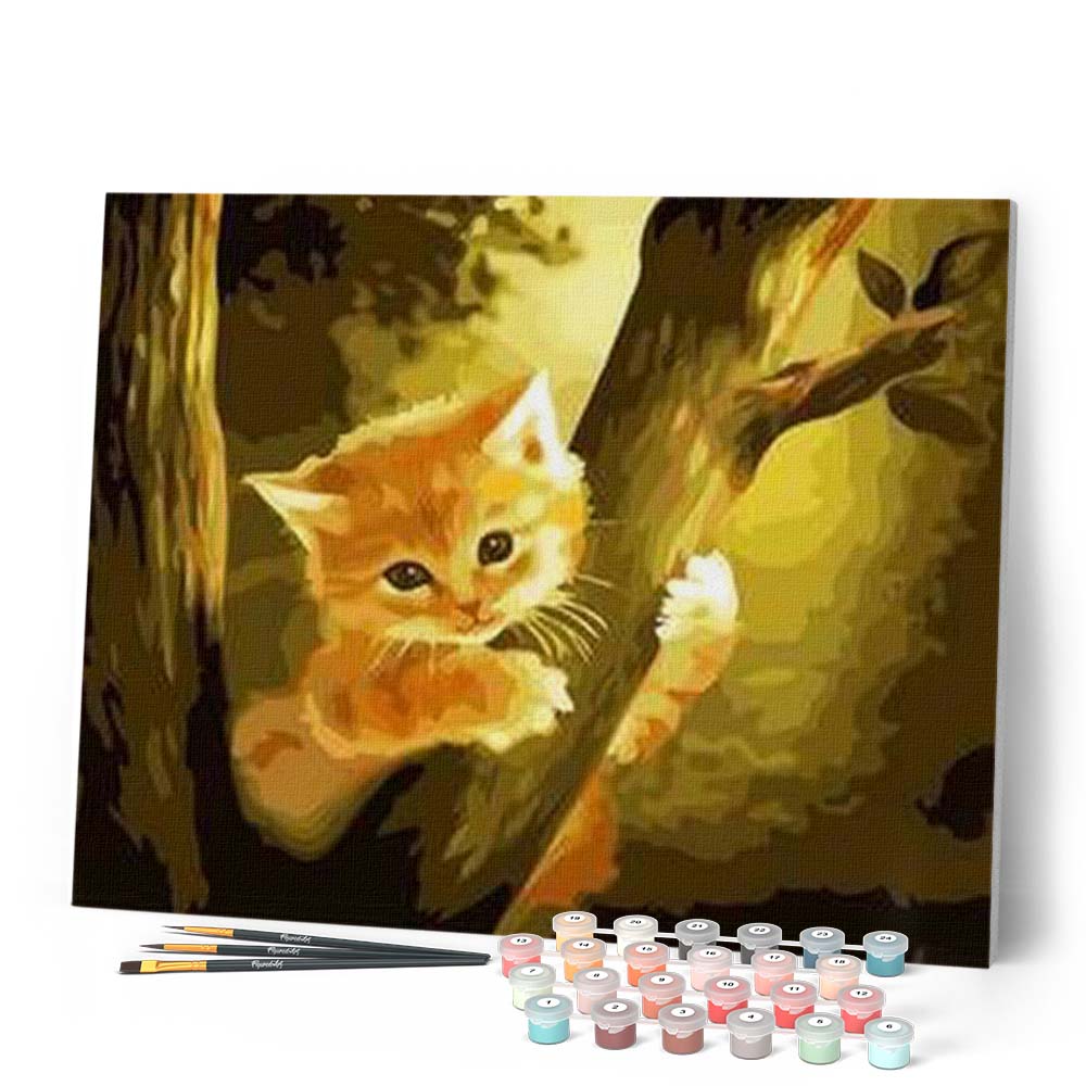 Peinture par numéros - Chaton perché – Figured'Art
