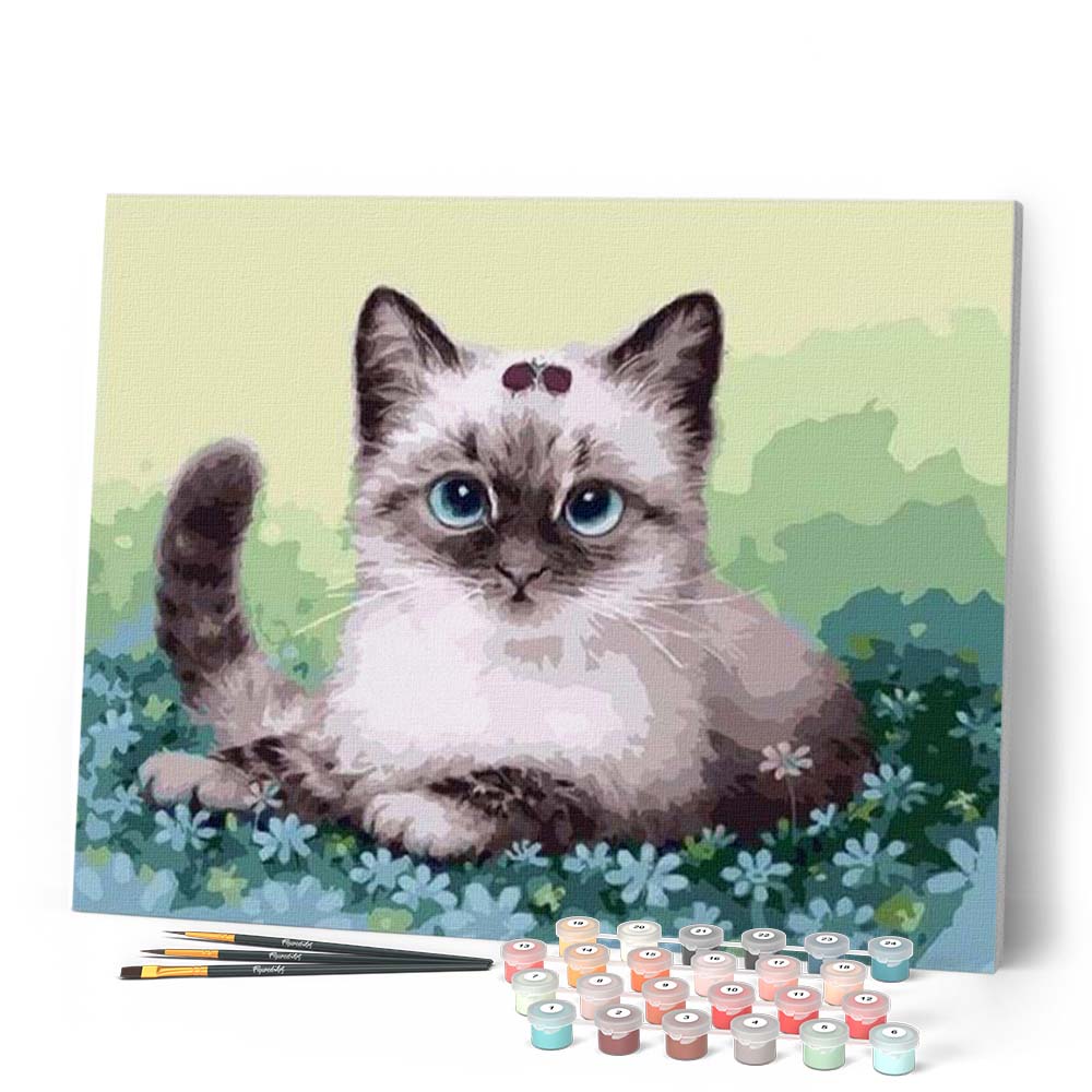 Peinture par numéros - Petit Chaton dans les Fleurs – Figured'Art